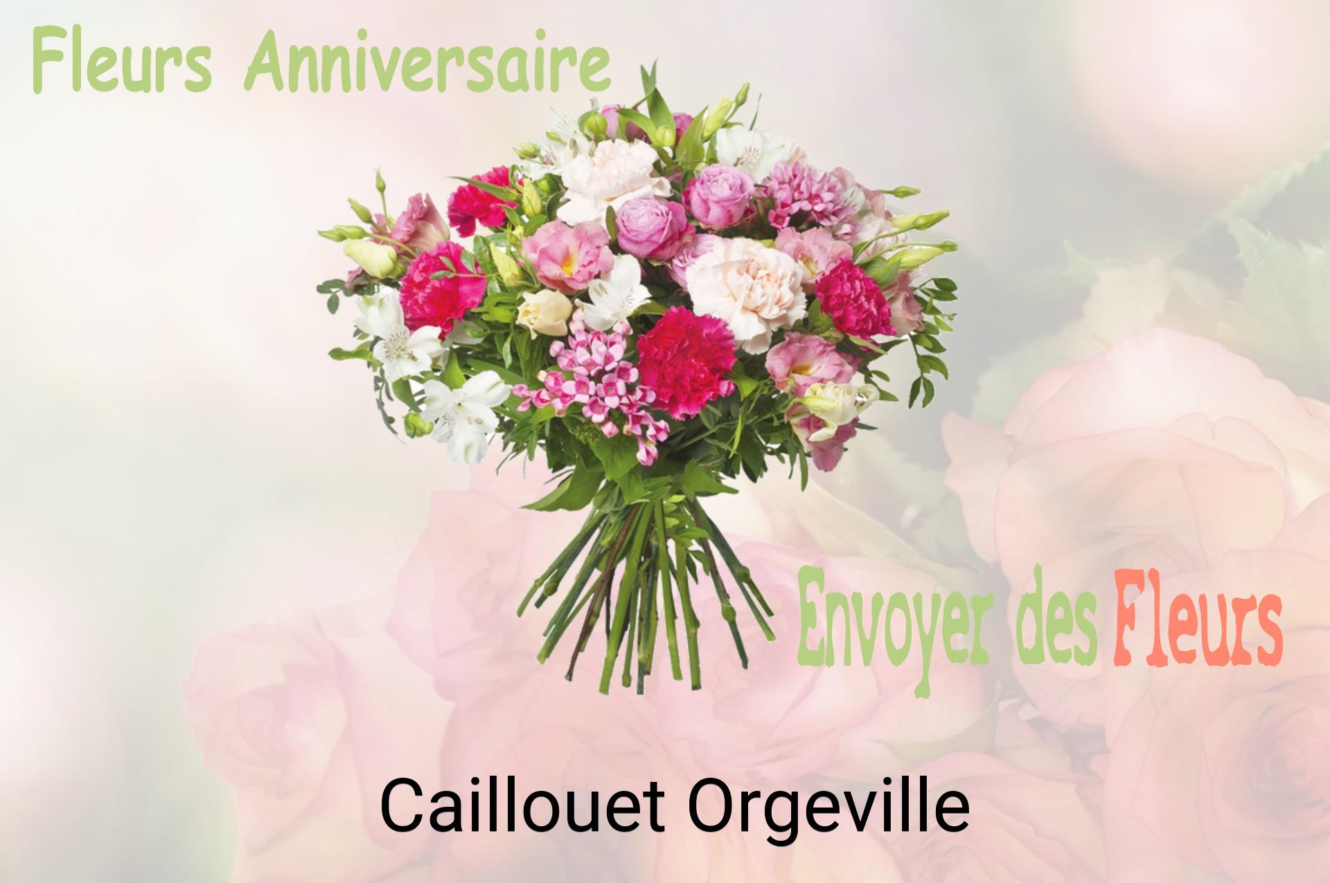 Bouquet de fleurs d’anniversaire livré à Caillouet-Orgeville