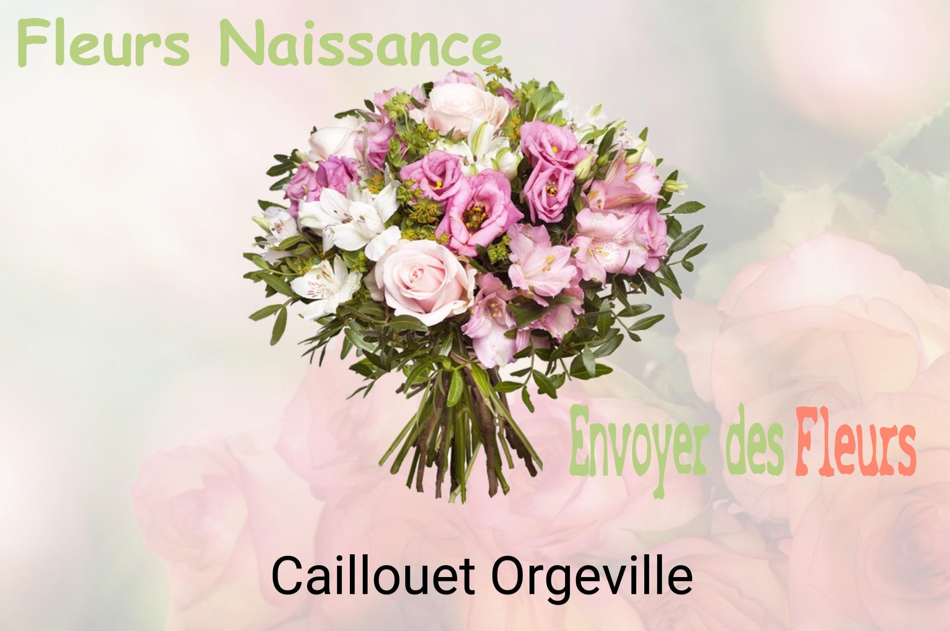 Bouquet de fleurs de naissance livré à Caillouet-Orgeville