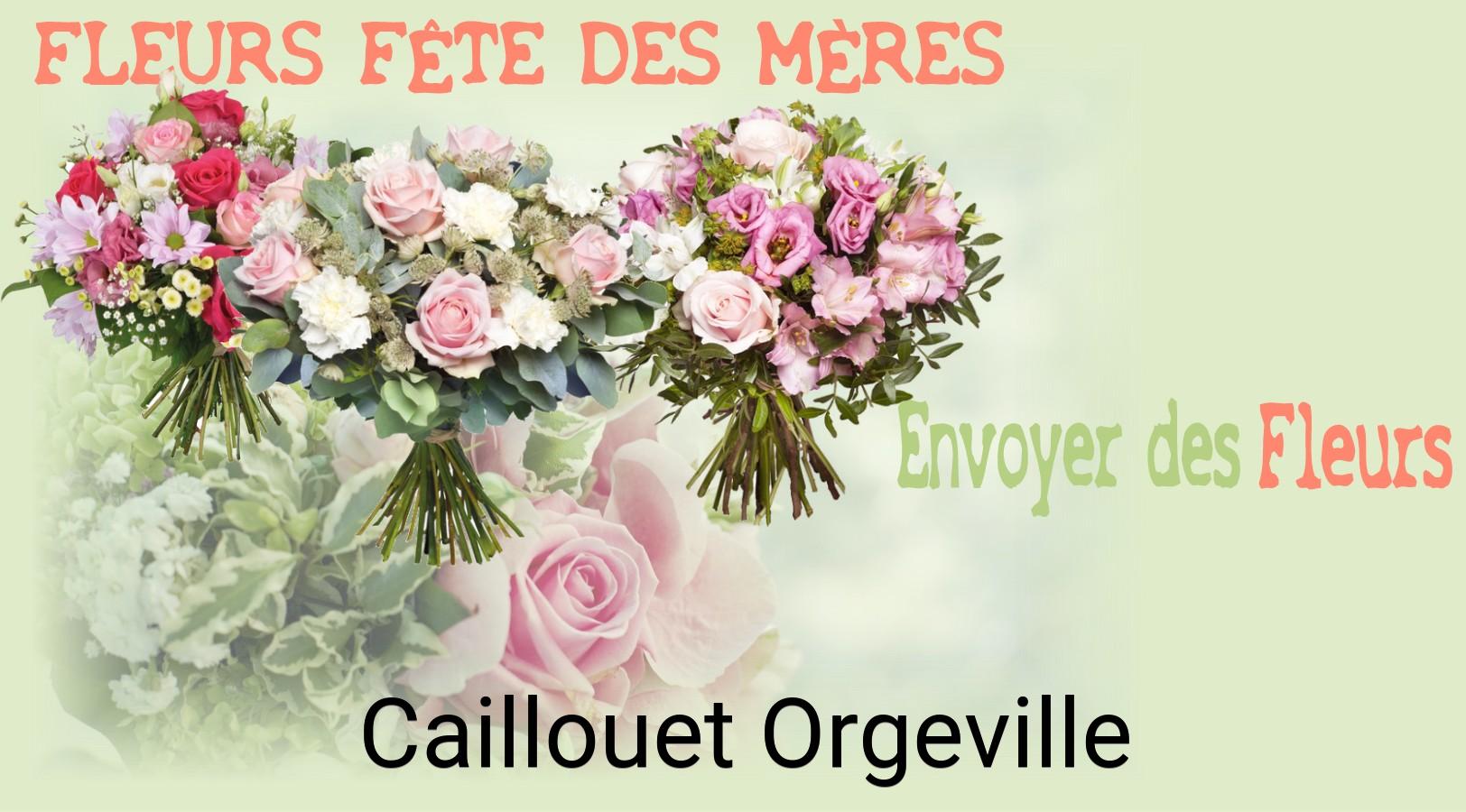 Bouquet de Fête des Mères livré à Caillouet-Orgeville