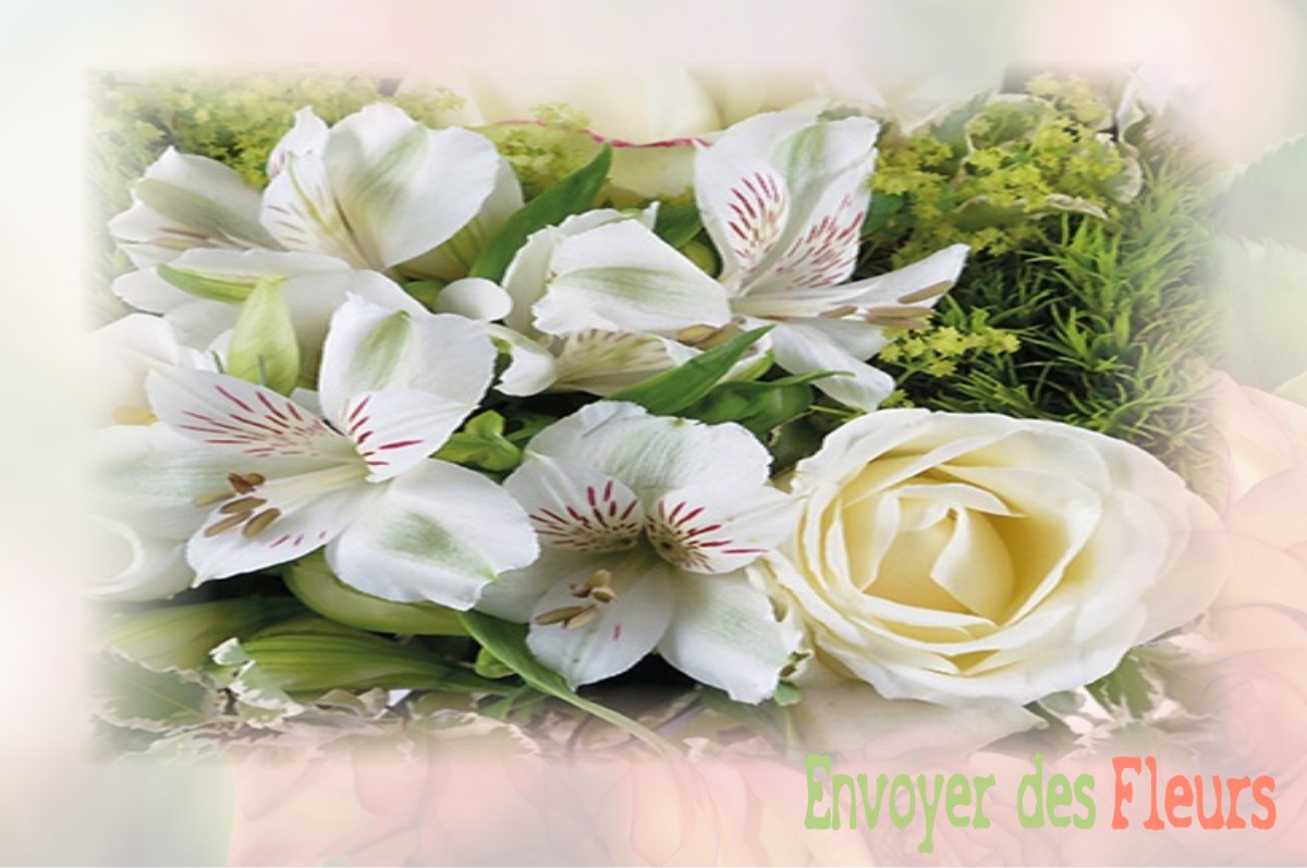 envoyer des fleurs à à CAILLOUET-ORGEVILLE